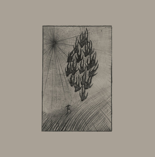 Áine O'Dwyer – Locusts [LP]