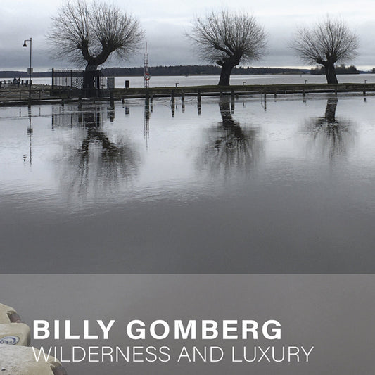Billy Gomberg – Wilderness and Luxury [CS]