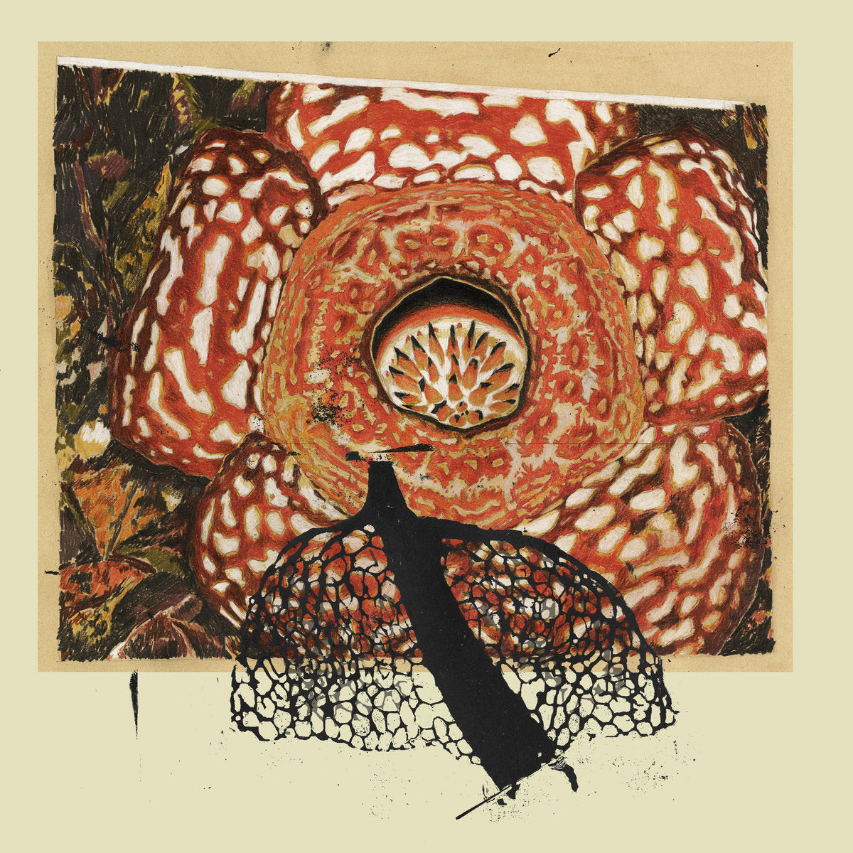 David Fenech & Klimperei – Rainbow de Nuit [LP]