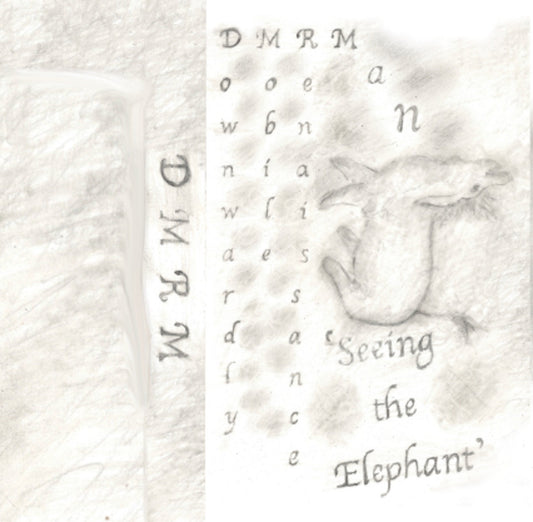 Downwardly Mobile Renaissance Man – Seeing The Elephant [CS]