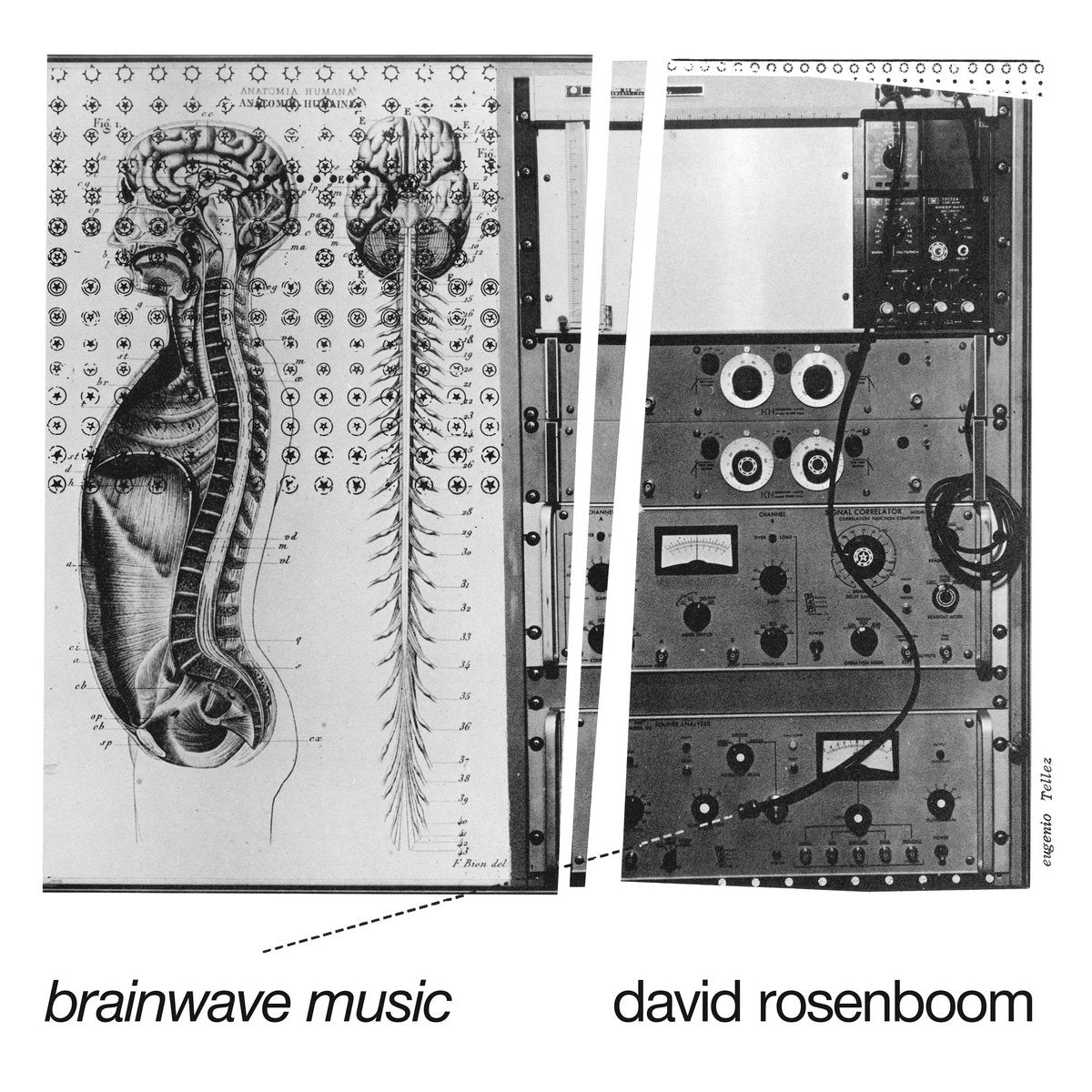 David Rosenboom – Brainwave Music [2LP]