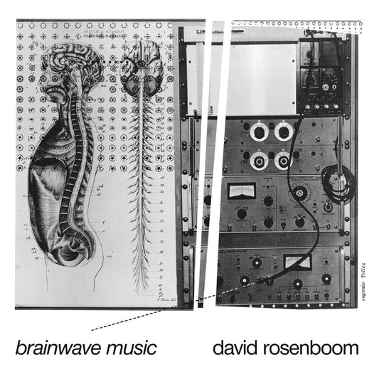 David Rosenboom – Brainwave Music [2LP]