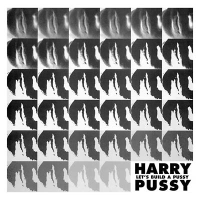 Harry Pussy – Let's Build A Pussy [2LP]