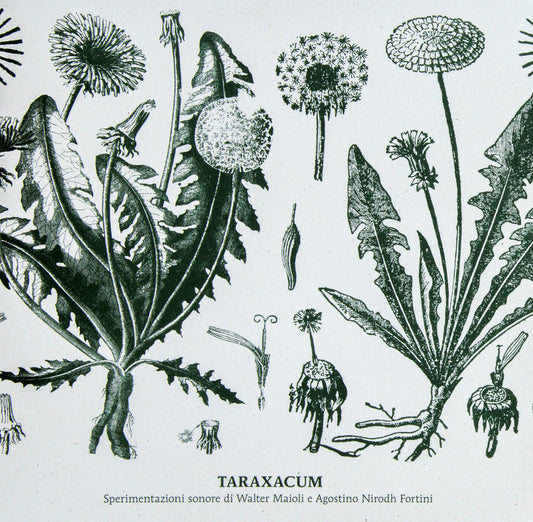 Walter Maioli & Nirodh Fortini – Taraxacum [LP]