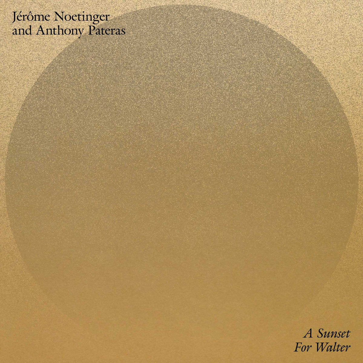 Jérôme Noetinger & Anthony Pateras – A Sunset For Walter [LP]
