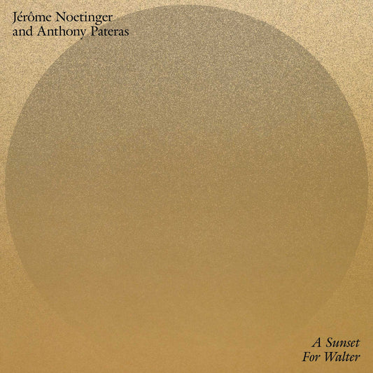 Jérôme Noetinger & Anthony Pateras – A Sunset For Walter [LP]