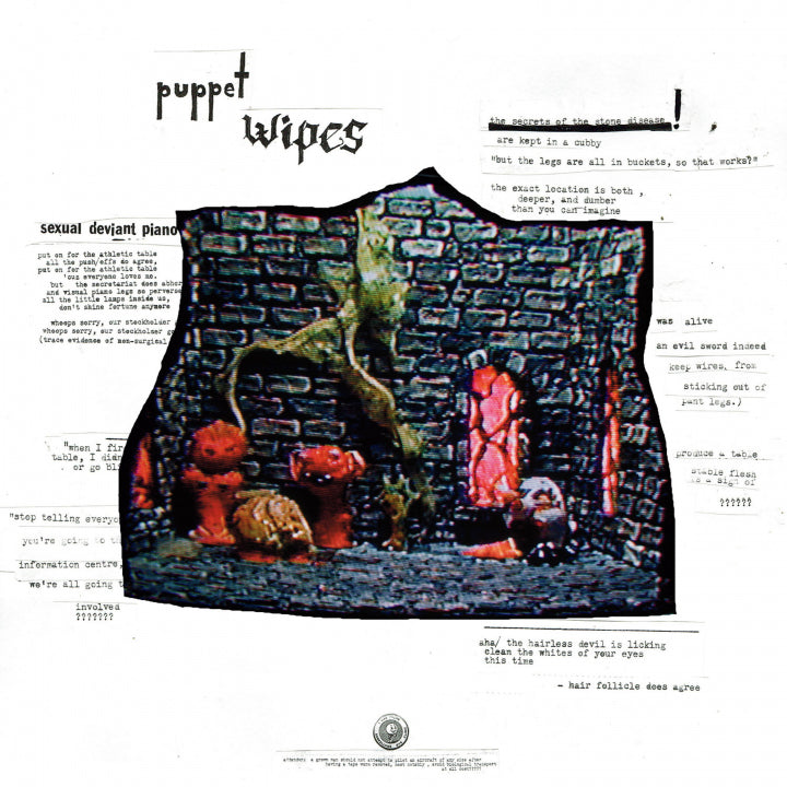 Puppet Wipes – The Stones Are Watching & They Can Be A Handful [LP]