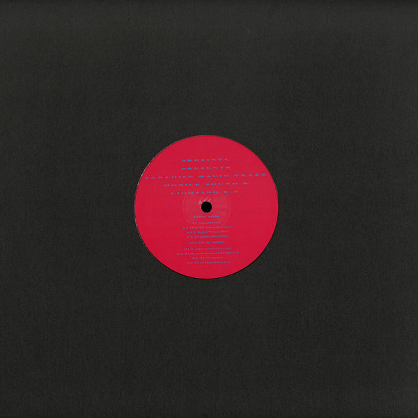 Seekersinternational – Paradise Magic Traxx [12"]