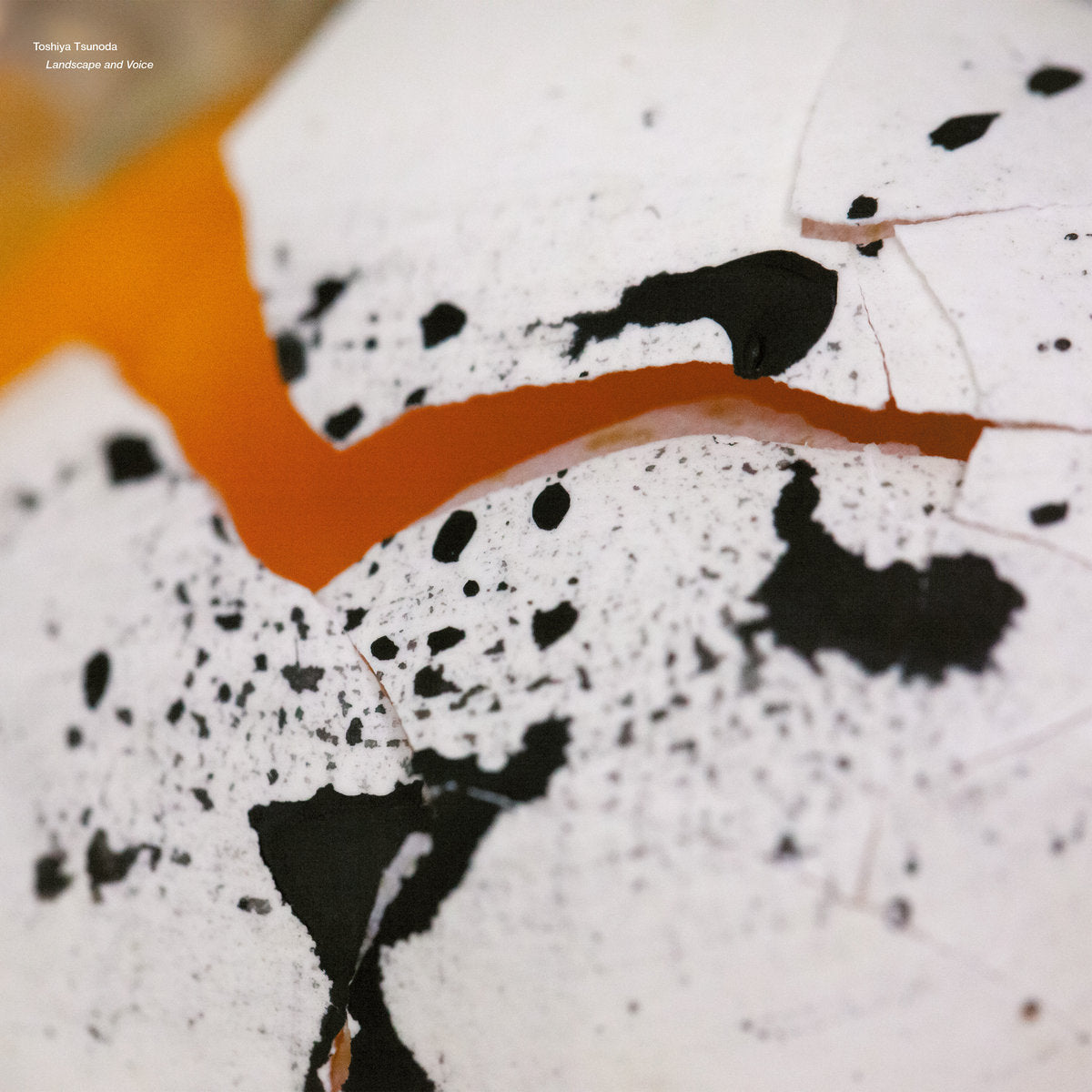 Toshiya Tsunoda – Landscape and Voice [LP]