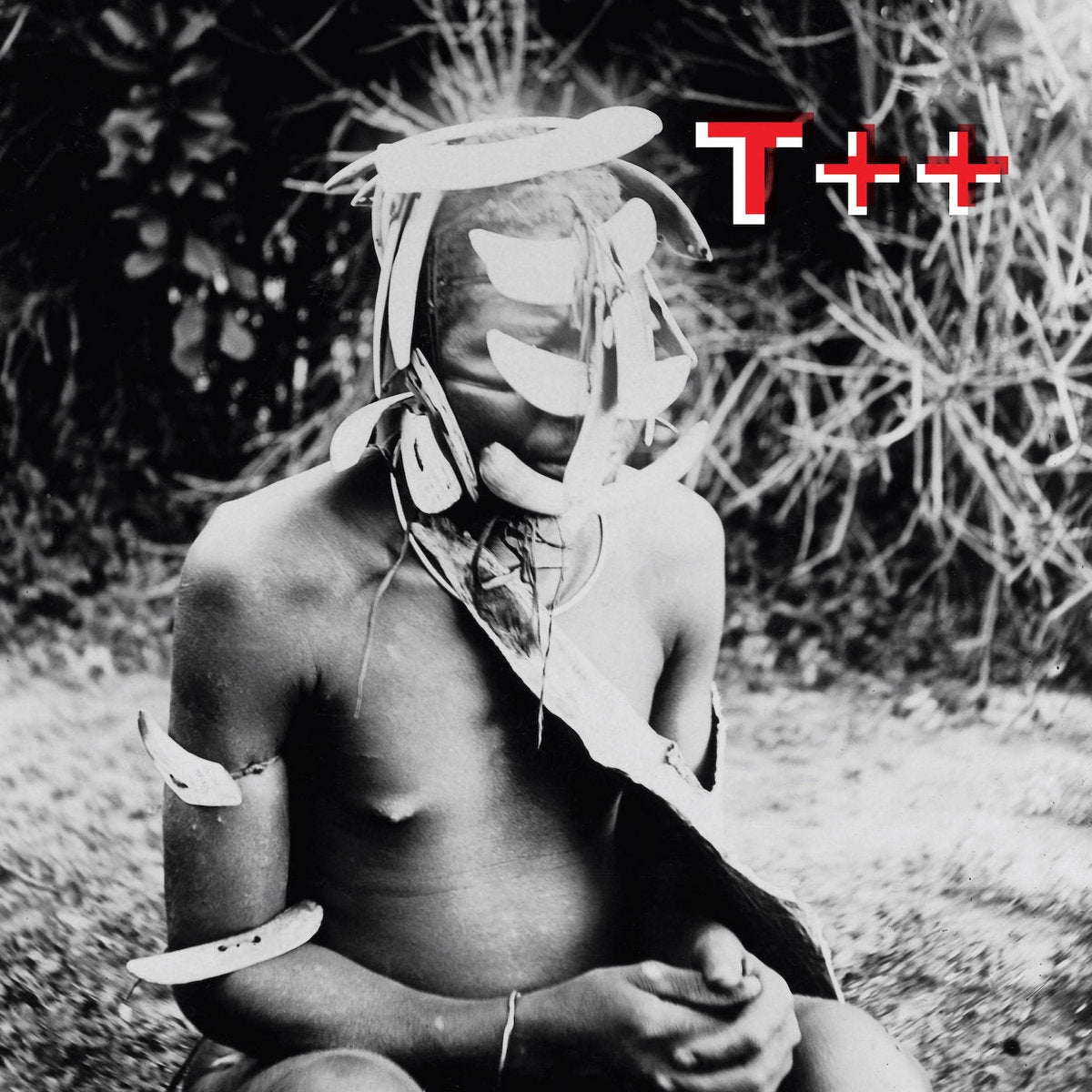 T++ – Wireless [2x12"]