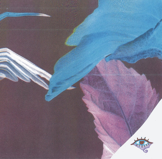Troth – Forget the Curse [LP]